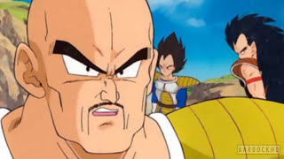 ¿Qué hubiera pasado si hubieran revivido a Raditz? PARTE 1