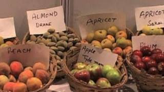Global Food standards becoming more harmonized