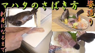 【高級白身】ハタの中でも最も美味しいとされている真羽太（マハタ）さばき方～姿造りになるまで