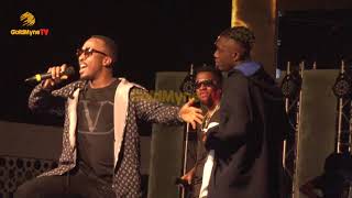 MOMENT ZLATAN INTRODUCES STYLE PLUS ON STAGE AT HIS CONCERT