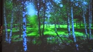 Это Ты, Родина моя. Школьное видео