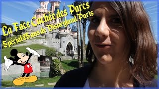 LA FACE CACHÉE DES PARCS #2 - 25 ANS DE DISNEYLAND PARIS