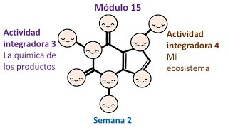 MÓDULO 15 Semana 2 ?‍? Actividades integradoras 3 y 4 ?‍? Prepa-SEP 2️⃣0️⃣1️⃣9️⃣