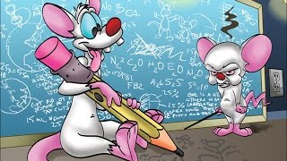 Вэбинар Pinky и Brain по созданию дорвеев.