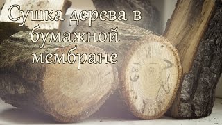 Сушка дерева в бумажной мембране. Интересный способ высушить дерево в домашних условиях