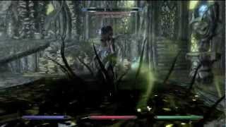 Skyrim DLC Dragonborn: Dragon Priest "Zahkriisos", "Lurker Vindicator" Mini-Boss & more!