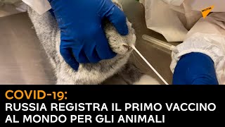 Covid-19: Russia registra il primo vaccino al mondo per gli animali