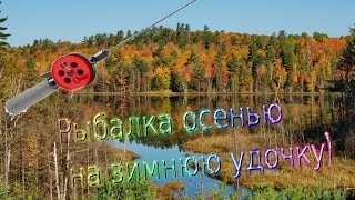 Весёлая Рыбалка (Осенью на зимнюю удочку) Это была не тина)