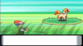 Haydunn's Pokemon Diamond NUZLOCKE CHALLENGE (Part 15)