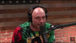 Joe Rogan Gives Duncan Trussell Advice About Kids