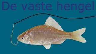 Vissen met: de vaste hengel