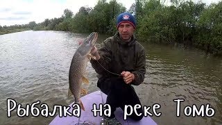 Рыбалка на реке Томь / ловля щуки на жерлицы