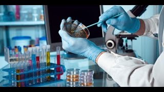 У Африці випробують нові вакцини від смертельної лихоманки