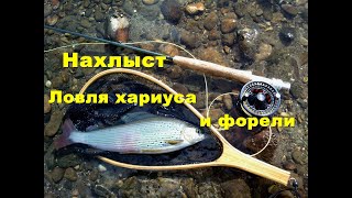 Нахлыст .Ловля  хариуса и форели.Flyfishing in Latvia.