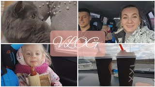 ВЛОГ: ОТКАЗЫВАЛСЯ ОТ ЕДЫ И СКУЧАЛ/ Встреча с Тишкой / Семья из Украины / НЕ ванильная семья