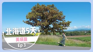 [北海道自駕遊] EP3 美瑛一日遊/湯元白金溫泉酒店/亞斗夢之丘/七星之木/親子之木/Ken & Mary之木  | Samantha Vlog