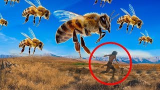What Would Happen If Bees Disappear?!