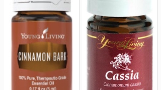 Cassia & Cinnamon Essential Oil   What's the Difference?