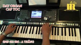 Học Đàn Organ BOLERO - Trung Tâm Organ Nhạc Rừng - Vùng Lá Me Bay - Organ Cấp Tốc Tpchm