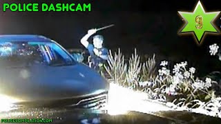 Police dash cam compilation, part 9