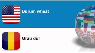 Learn Romanian vocabulary #Topic = Cereals