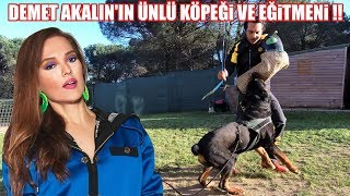 DEMET AKALIN'IN EFSANE KÖPEĞİ VE EĞİTMENİ ( ÜNLÜLERİN KÖPEK EĞİTMENİ !! DORA K9 ) #rottweiler #k9