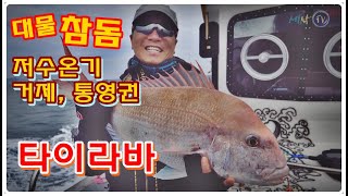[세모낚TV]저수온기 거제, 통영 대물참돔 타이라바 낚시/ 지세포항, 바이킹호/선상낚시x파일209화/신발짝 열기, 쏨뱅이/revo선글라스/K-GOOD, 배스랜드