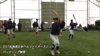 2017北海道日本ハムファイターズJr　バッティング練習