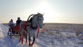 Русские зимние забавы. nebo.media