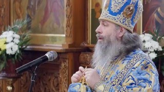 Проповедь митр.Арсения в день Иверской иконы Божией Матери. 25.2.16г.