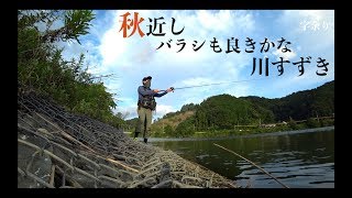 最近こんな感じです。編【仕事終わりシーバス】