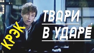 Твари в ударе ("Фантастические твари", крэк!)