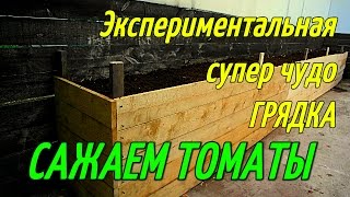 ВЫСОКАЯ ГРЯДКА(САЖАЕМ ТОМАТЫ).