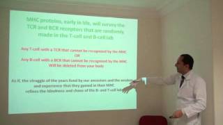 Lecture 6 Basic Immunology Part 2 of 2 Dr. Hatem Hamdi Eleishi