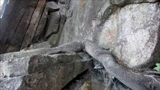 右田ヶ岳の直登コースを登り山頂に立つ　山口県防府市