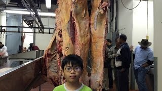 Eid-Adha Qurbani/Udhiya in United States of America - Connecticut USA [English Version By Aiman P1]