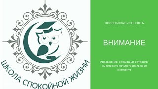 Что такое внимание