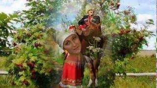 При долине куст калины