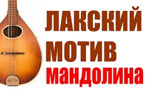Лакская мандолина