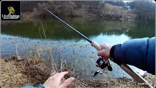 Ловля на фидер.Открытие сезона 2017.(LiveFishing)