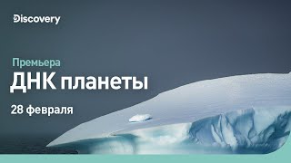 ДНК планеты | СКОРО ПРЕМЬЕРА | Discovery