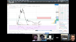 Разбор Альткоинов. Huobi Prime. Initial Exchange Offering. Celer от Binance