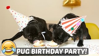 PUG BIRTHDAY PARTY!