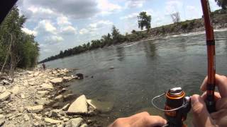 Dalien s day video blog ep4 - topwater asp fishing