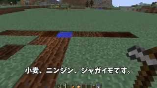 マイクラ　簡単で効率のいい畑の作り方　マインクラフト