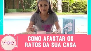Como afastar os ratos da sua casa - Vida Melhor - 20/01/2017