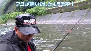 釣具のイヴ　一ツ瀬川　アユ釣り　2014 07 30