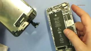 Замена шлейфа Wi-Fi на iPhone 6, самостоятельная разборка и ремонт WiFi на айфона 6