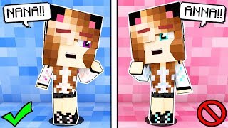 LA SORELLA GEMELLA DI ANNA! - Casa di Minecraft #8