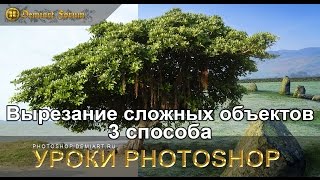 Вырезание сложных объектов —  3 способа. Урок Photoshop